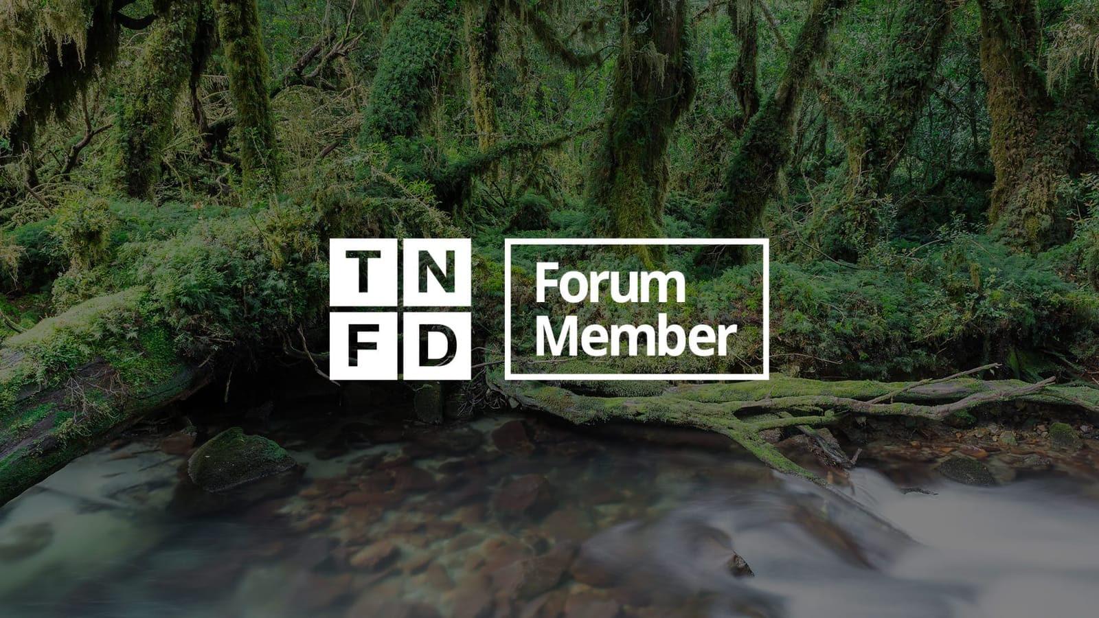 Lemu Joins TNFD Forum and Atlas Listed in TNFD Tools Catalogue