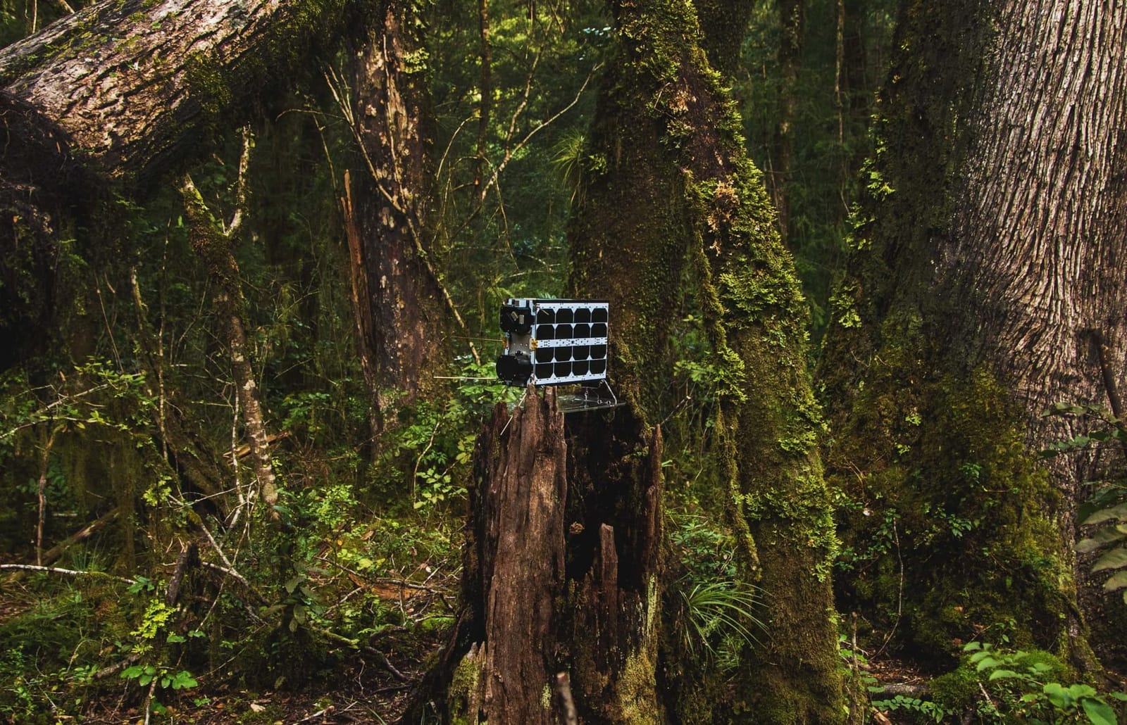 Mission to save Earth – Lemu signs contract with NanoAvionics for the world’s first global biodiversity observation mission