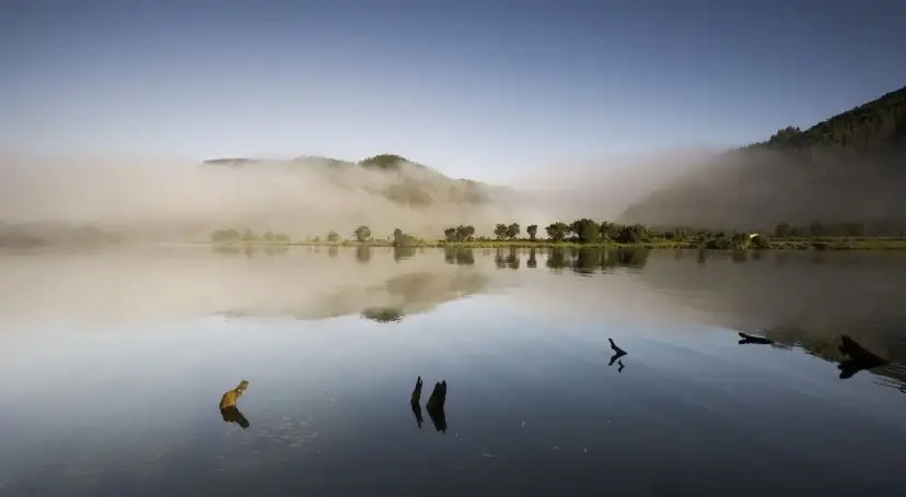 The Valdivian Coastal Reserve: A Highway to the Ice Age