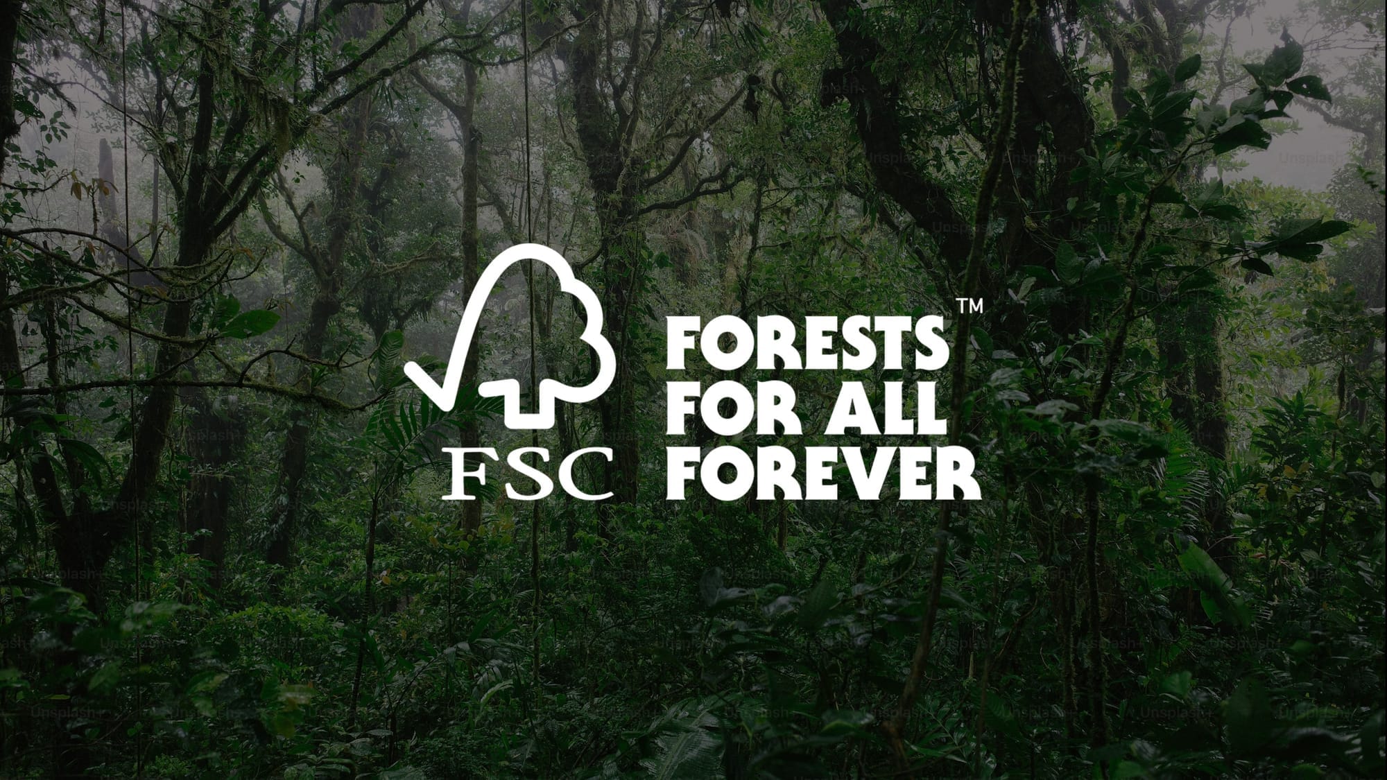 Lemu and FSC Showcase Their Partnership at the 1st FSC Latin America Ecosystem Services Summit